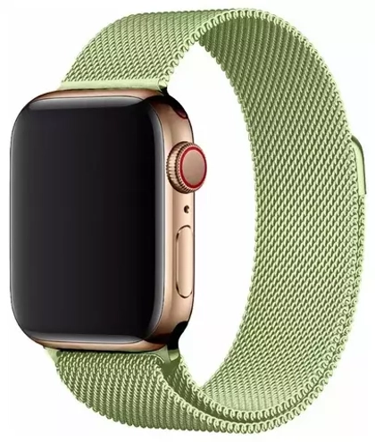 Ремешок Apple Watch 42/44/45мм миланский сетчатый green