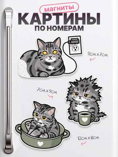 Котики