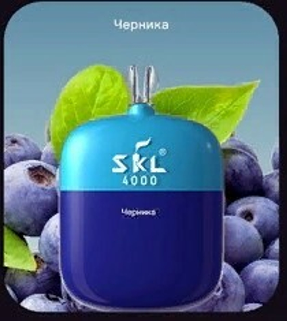 SKL 4000 Черника купить в Москве с доставкой по России