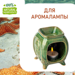 Морская звезда - отдушка для свечей и мыла