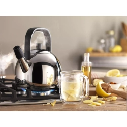 Zwilling - Чайник Plus 1,6л со стальным свистком / артикул   40995-001-0  / GTIN 4009839388576