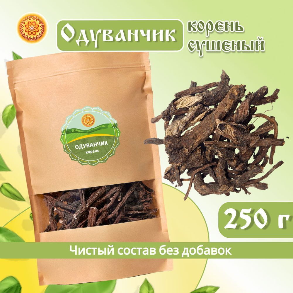 Одуванчика корень.