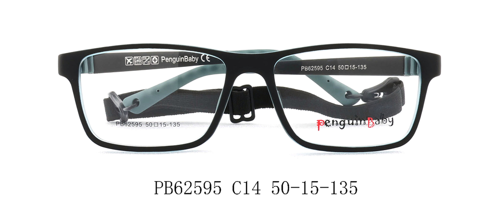 PB62595