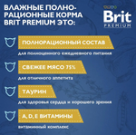 Влажный корм для кошек Brit Premium 0,085кг лосось и форель в соусе 14 паучей
