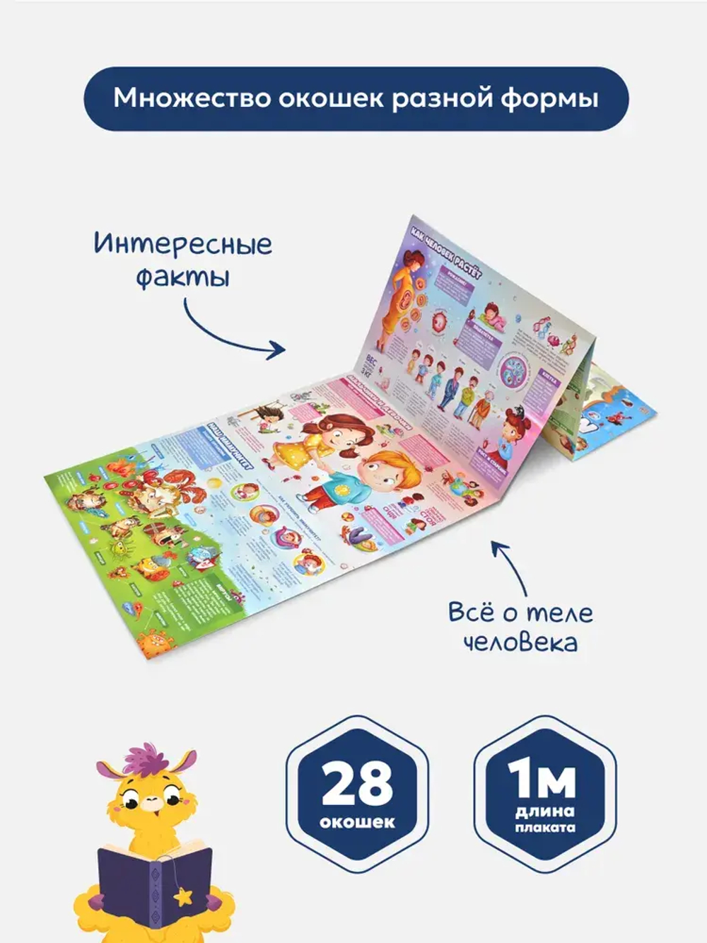 Плакат с окошками