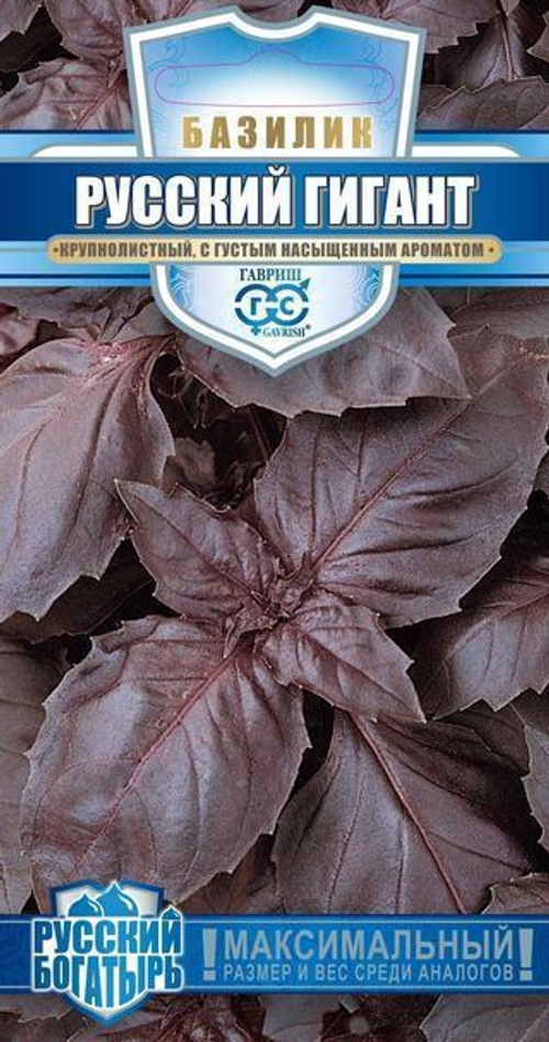 Базилик Русский гигант
