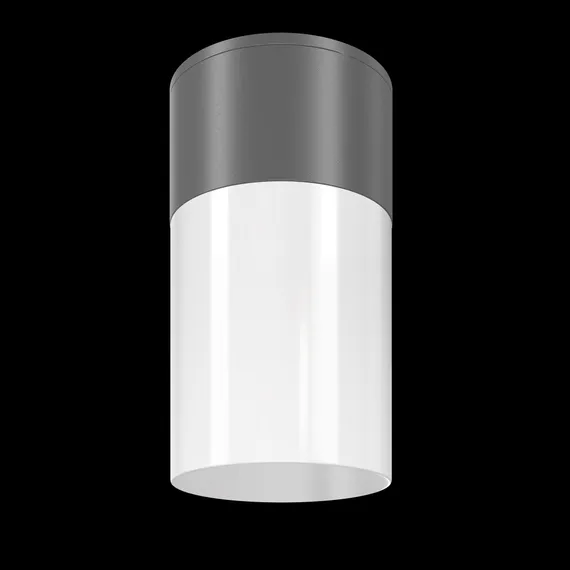Потолочный светильник Willis E27х1 60Вт IP 54 Outdoor o418cl-01gr