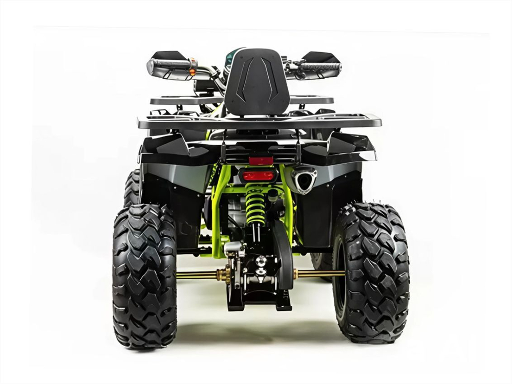 Квадроцикл MOTOLAND 200 Wild Track Pro