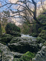 Много данных старая