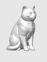 Американская короткошерстная кошка