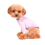 304 PA-TS Лонгслив (футболка с длинным рукавом) "Puppy Angel MAC Daily"