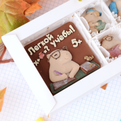 Набор шоколадный "Легкой учебы" #1 / Подарок на 1 сентября