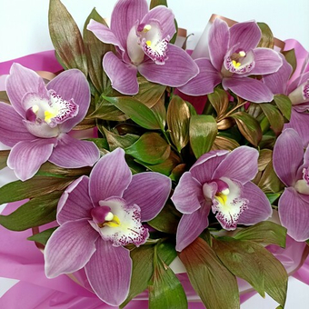 Букет орхидей в кашпо "Инфанта"