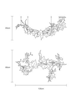 Folio Branch by Serip