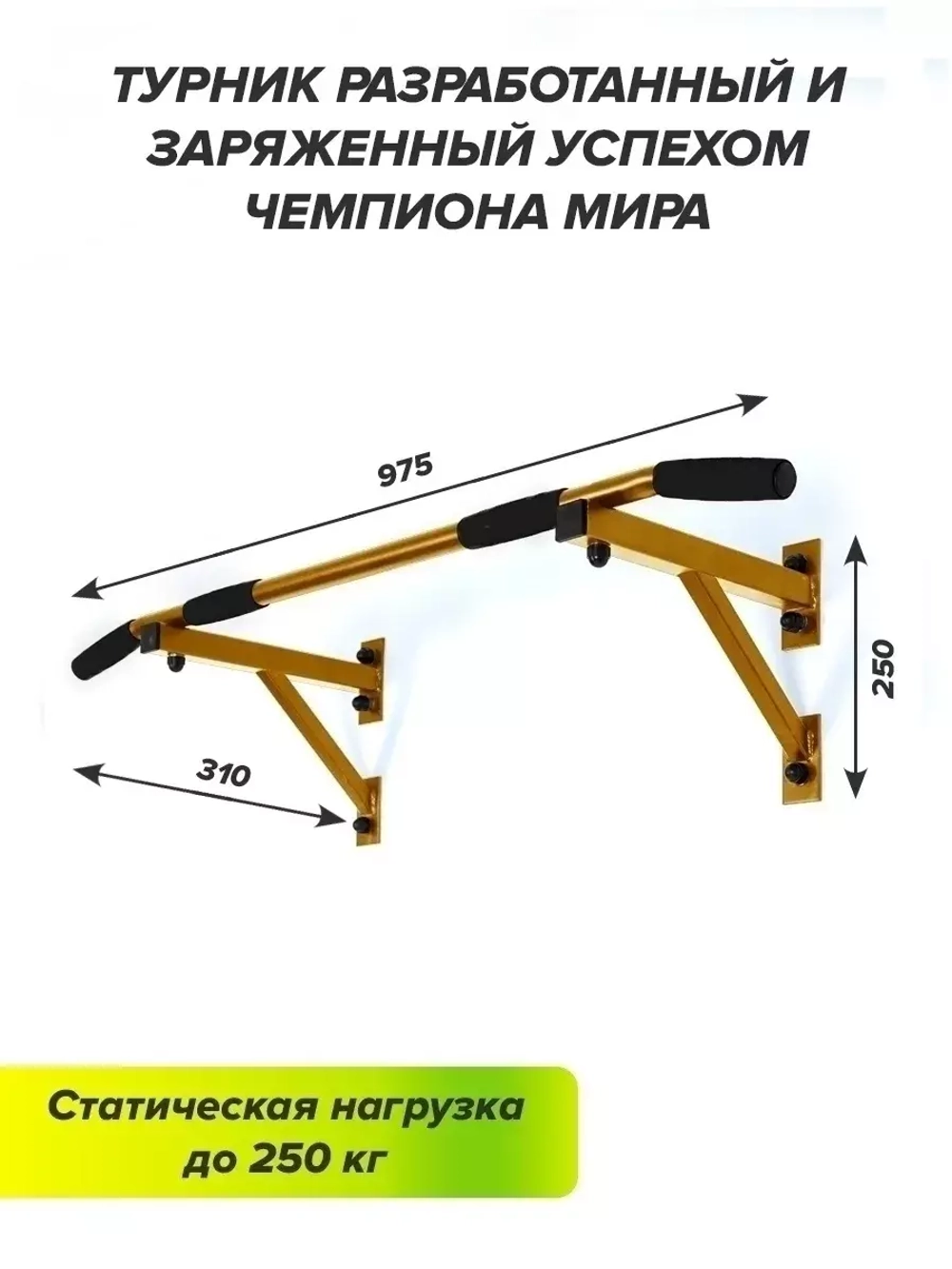 Турник Настенный AKTIV Черный