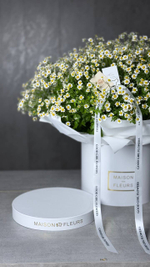 Ромашковое поле