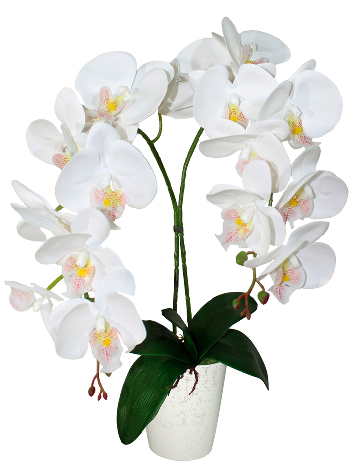 Орхидеи Люкс 2 ветки белые латекс 55см в кашпо