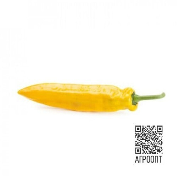 Палермо Юсмит F1 семена перца сладкого (Rijk Zwaan / Райк Цваан) культура – фото 2