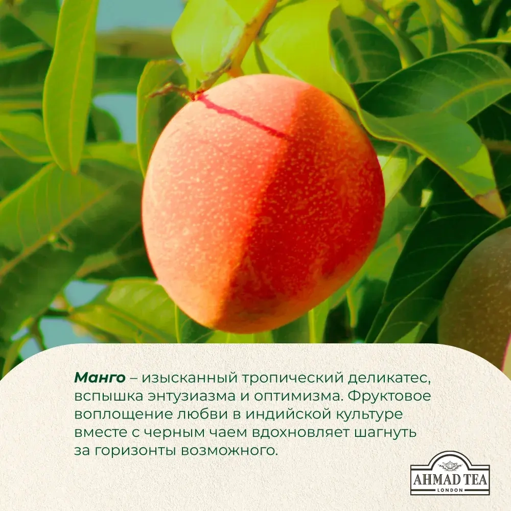Чай в пакетиках Ahmad Tea Mango Magic, 25 шт