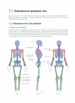 Книга Человек в движении. Подробный анатомический курс по рисованию: от общей формы до перспективы