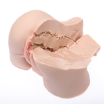 Мастурбатор-полуторс Naked Factory Nicole (Цвет: телесный)