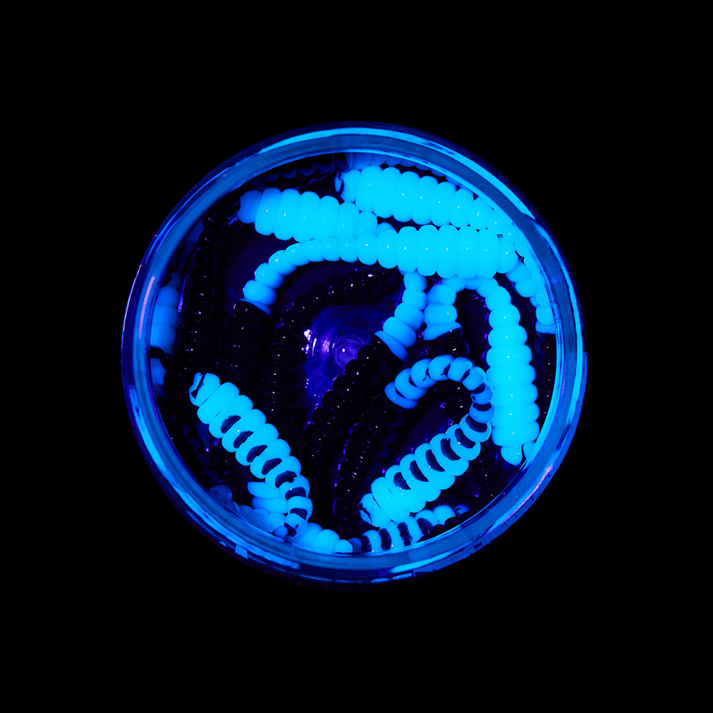 Форелевая приманка "Minoga" BOBR 3,2"(10шт) 80мм, 1,2гр, цвет 21