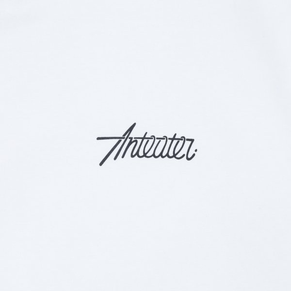 Футболка Anteater Phat 487 (white) артикул: - купить в магазине Дайс