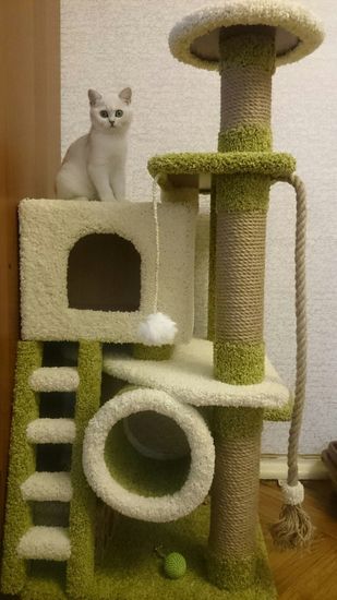 Домик для кота Д-4