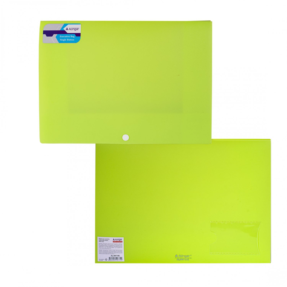 Папка на кнопке Alingar, A4, 240х320х10, 500 мкм, карман для визитки, ассорти, матовая, "Ice"