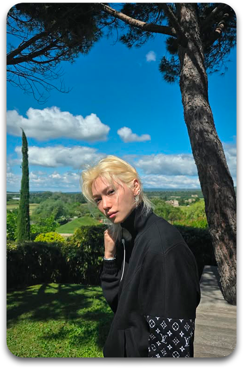 Карта / STRAY KIDS #3566