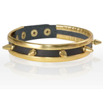 Золотисто-черный узкий ошейник с шипами (Цвет: золотистый с черным)