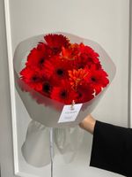 Букет из гербер в красном оттенке 15 шт