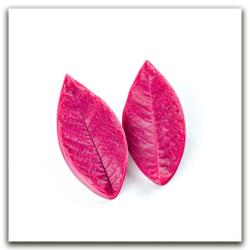 Листья черемухи большие