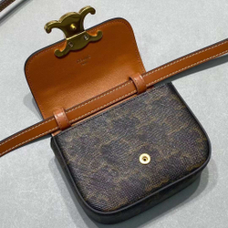 Celine Mini Triomphe