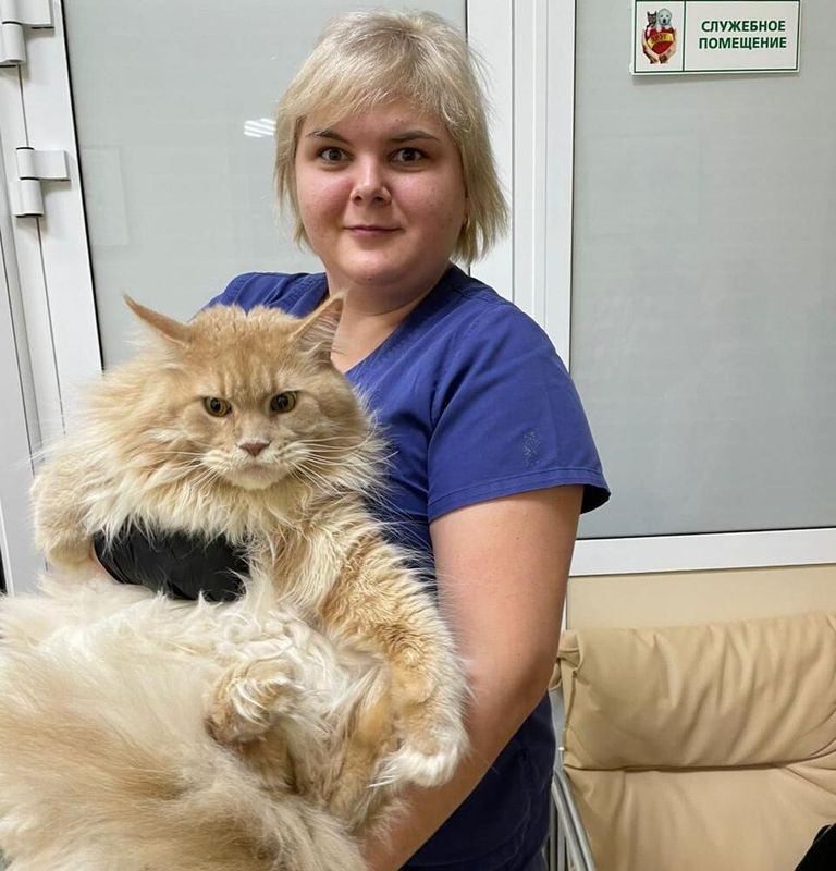 Первичный прием стоматолога