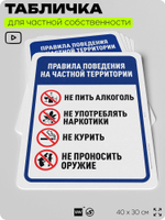 Табличка для частной территории "Правила поведения на частной территории", на дом, для участка, организаций, предупреждающая, 40х30 см, Silver Plane x Айдентика Технолоджи
