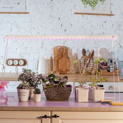 ULI-P17-14W-SPLE IP20 WHITE Светильник для растений светодиодный линейный. 870мм. выкл. на корпусе. Пластик. Спектр для фотосинтеза. TM Uniel