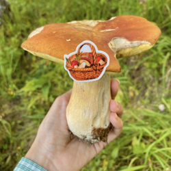 стикерпак «на лесной полянке»