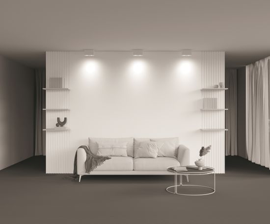 Потолочный светильник Technical C017CL-02W