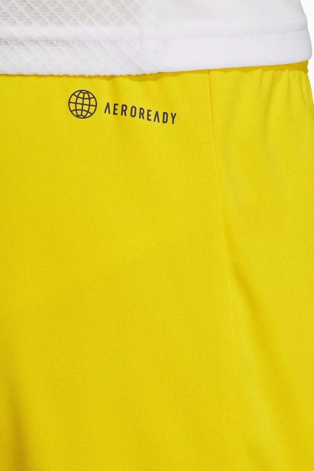 Шорты adidas Entrada 22