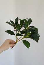 Куст мокламе / Арт 6390