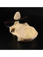 Подставка череп для очков и мелочей в прихожую, 3D печать