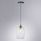 Подвесной светильник Arte Lamp Propus A4344SP-1CC
