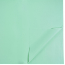 ЛИСТ 58*58/20шт СВЕТЛЫЙ №2