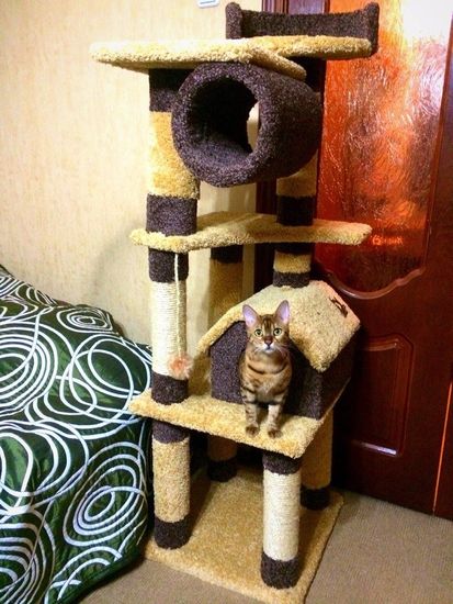 Дом для котят К-17