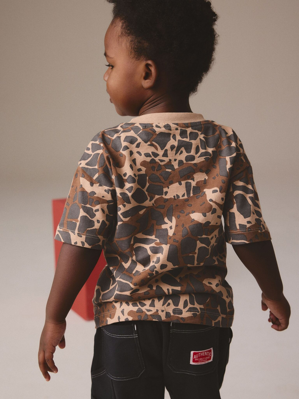 Футболка для мальчика Next E83-349, Светло-коричневый