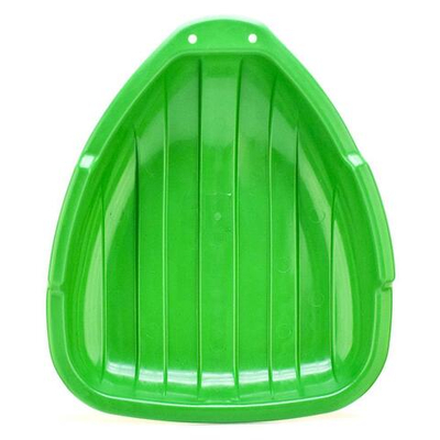 Ледянка треугольная (Зима Красавица)