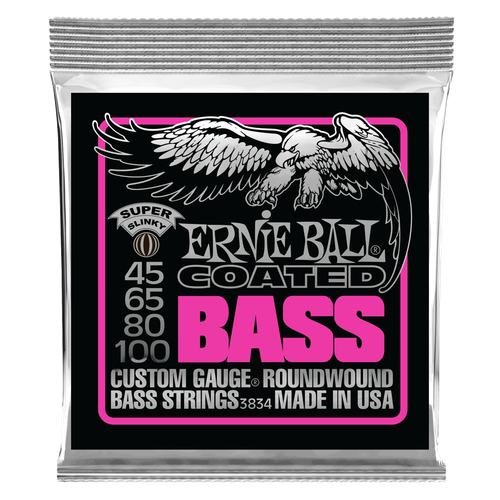 ERNIE BALL 3834