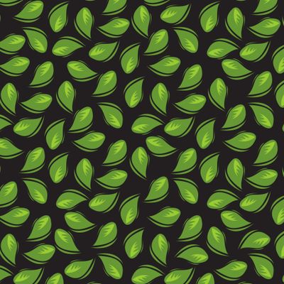 листья на темном фоне