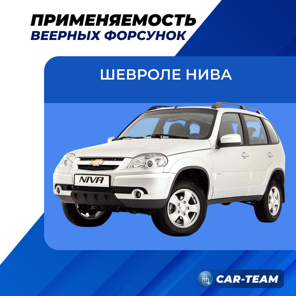 Веерные форсунки Шевроле Нива Бертоне (2шт)